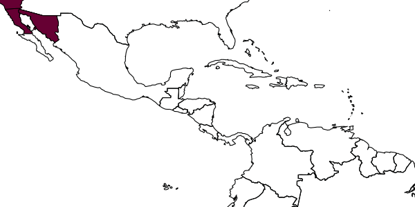 map of Ashmeadiella cactorum  crassa   Cockerell, 1924